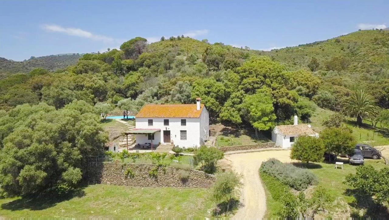 Finca Sta Teresa, Casa Grande Estepona Extérieur photo