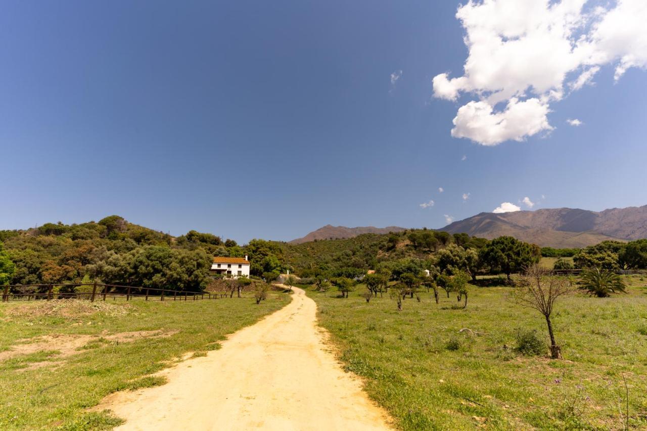 Finca Sta Teresa, Casa Grande Estepona Extérieur photo