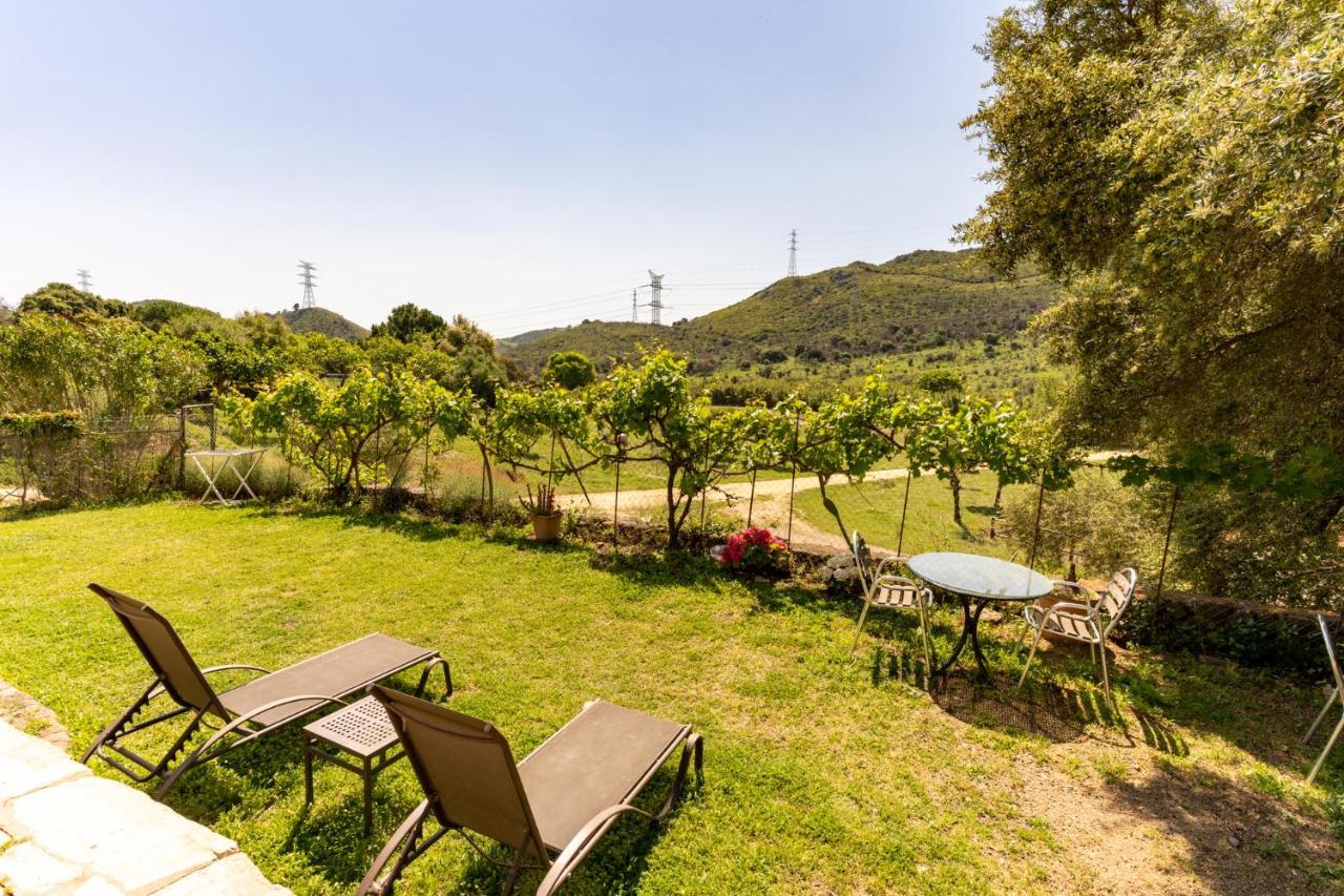 Finca Sta Teresa, Casa Grande Estepona Extérieur photo