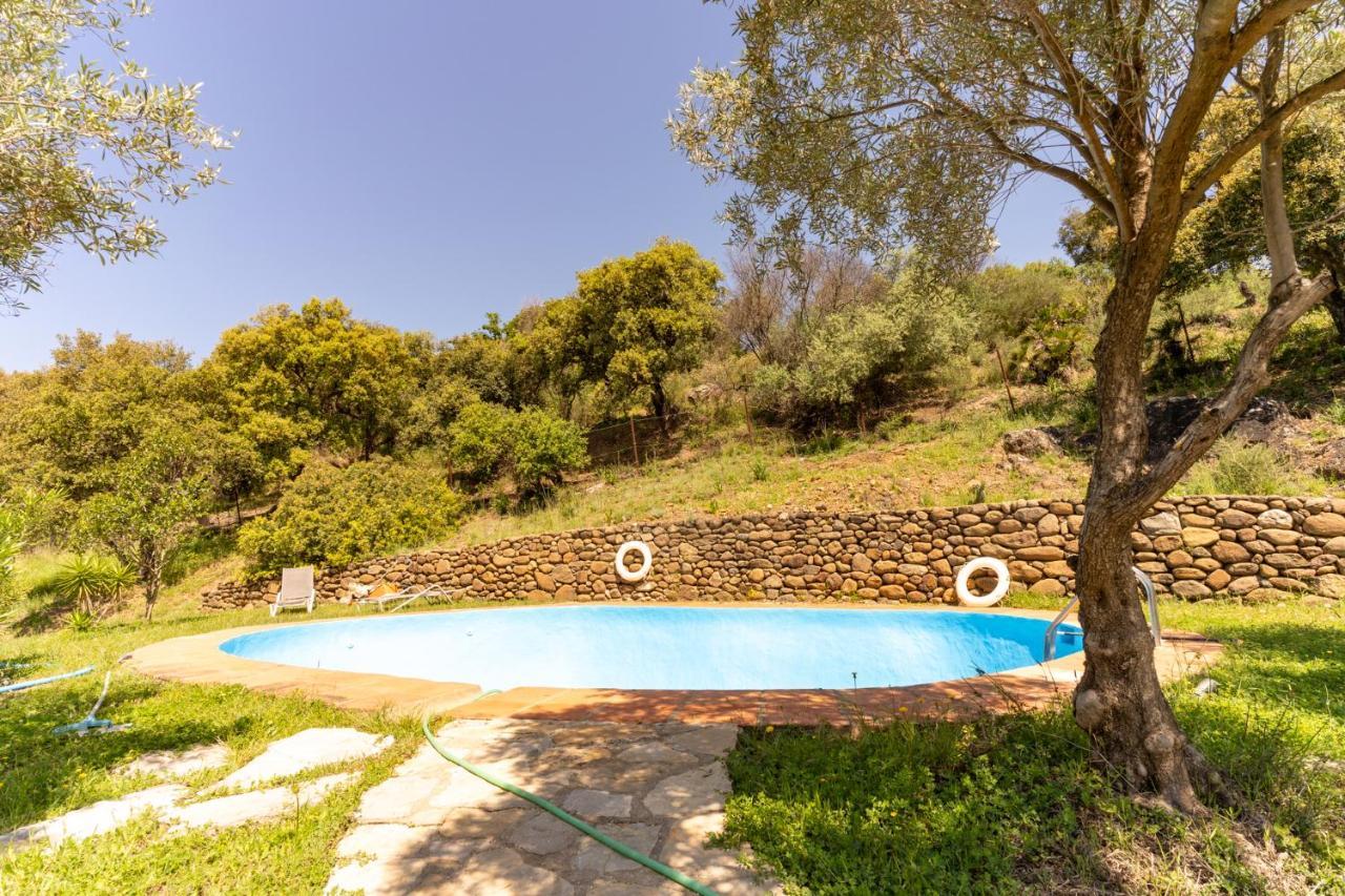 Finca Sta Teresa, Casa Grande Estepona Extérieur photo