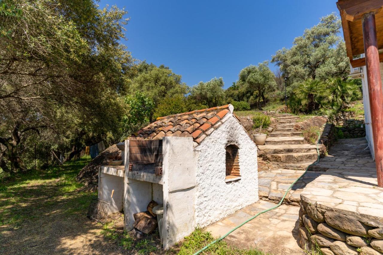 Finca Sta Teresa, Casa Grande Estepona Extérieur photo
